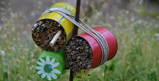 das Bild zeigt bunte Blechdosen gefüllt mit Röhricht als Insektenhotel (Foto: A. Pierenkemper)